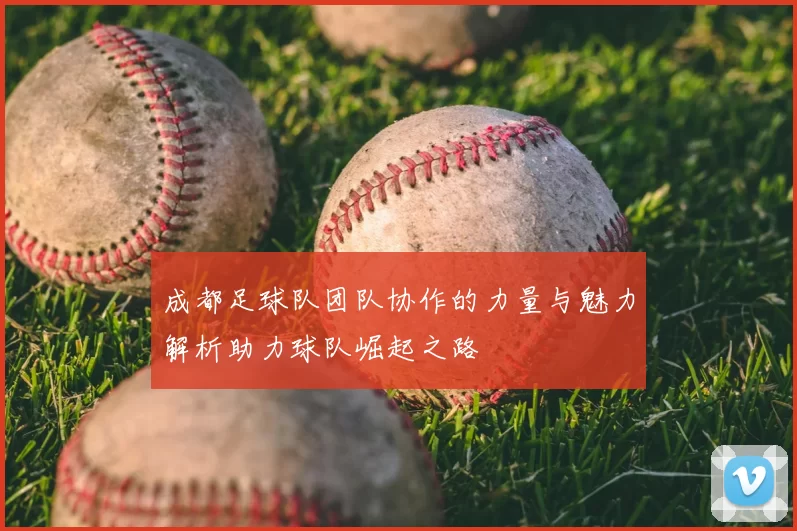 成都足球队团队协作的力量与魅力解析助力球队崛起之路