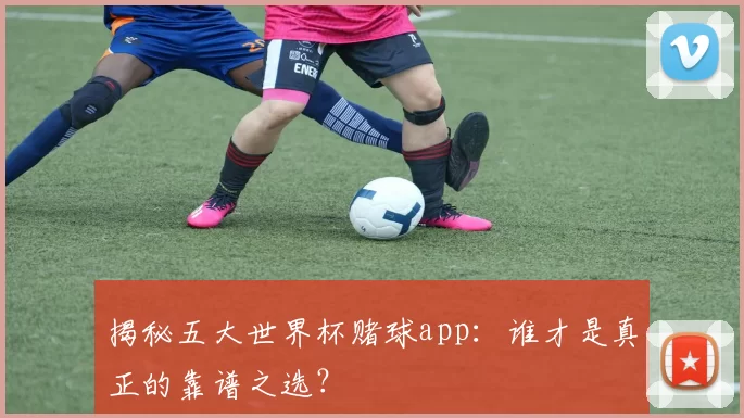 揭秘五大世界杯赌球app:谁才是真正的靠谱之选?
