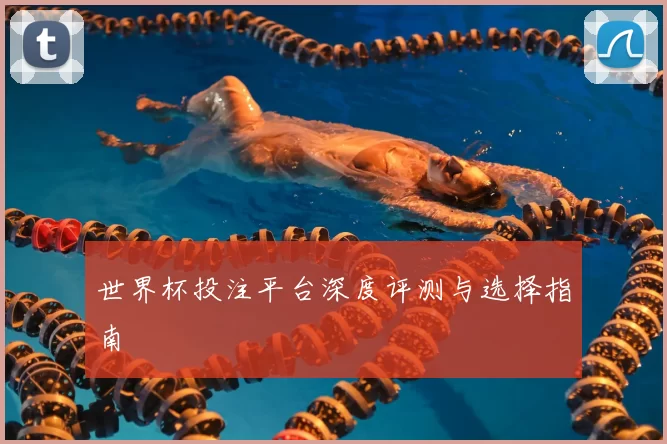 世界杯投注平台深度评测与选择指南