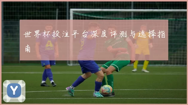 世界杯投注平台深度评测与选择指南