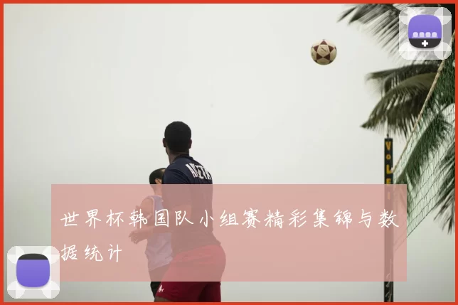 世界杯韩国队小组赛精彩集锦与数据统计