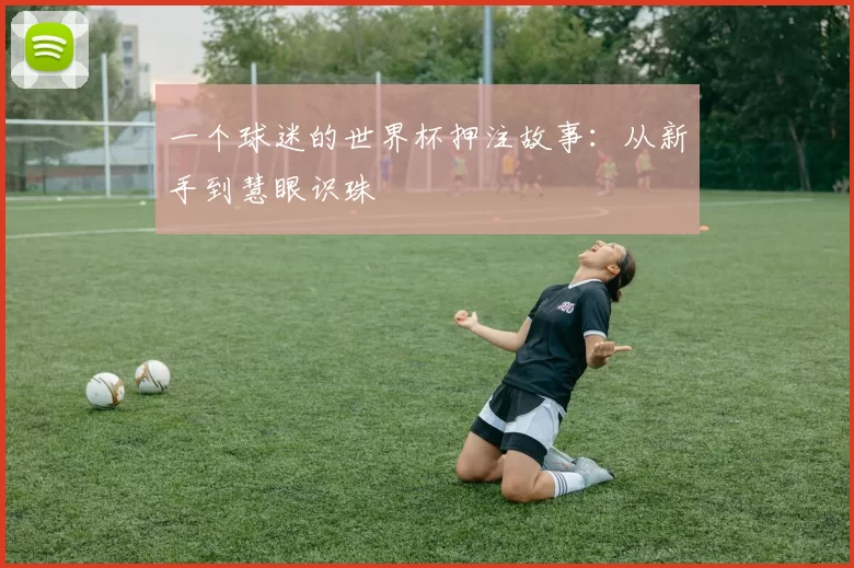 一个球迷的世界杯押注故事:从新手到慧眼识珠