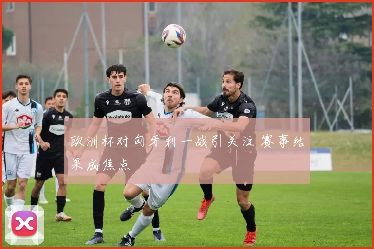 欧洲杯对匈牙利一战引关注 赛事结果成焦点